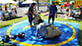 Sumo Suits