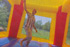 Bounce House Moonwalk