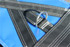 Bungee Run Harness